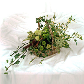 Woodland Basket
