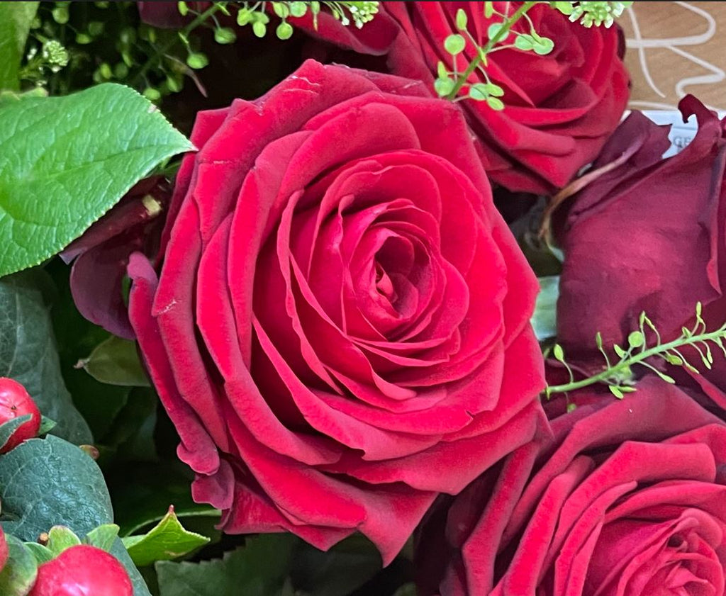 Red Roses Six Types 6 Red Roses – Greensleeves Flowers