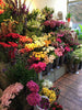 Mixed selection gift wrapped bouquets