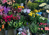 Mixed selection gift wrapped bouquets